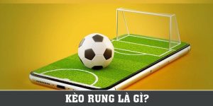 Kèo Rung Là Gì? 3 Loại Kèo Rung Phổ Biến Nhất Hiện Nay